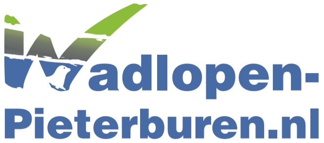 Wadlopen – Pieterburen